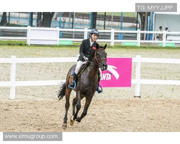 全运会｜第十五届全运会马术竞赛成果公报